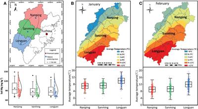 Magnesium application improves the morphology, nutrients uptake, photosynthetic traits, and quality of tobacco (Nicotiana tabacum L.) under cold stress